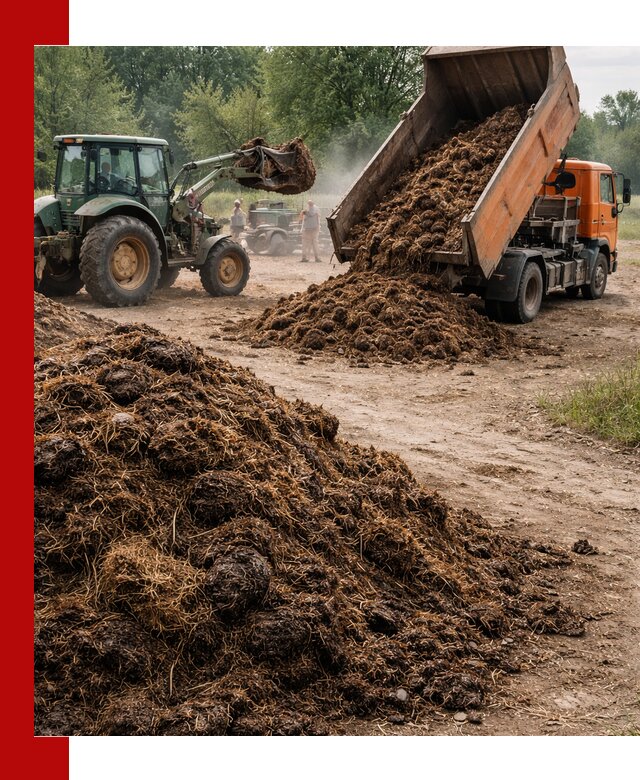 Доставка навоза самосвалами в Петергофе для сельхозпотребностей